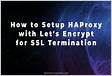Install Lets Encrypt SSL on HAProxy MARKONTEC